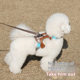Dog Harness, Adjustable Dog Harness, Anti Loose Dog Harness, Dog Leash, Adjustable Dog Leash, Dog Walking Harness, No Pull Dog Harness, Dog Walking Leash, Pet Harness, Pet Leash, Dog Training Harness, Dog Training Leash, Puppy Harness, Puppy Leash, Comfortable Dog Harness, Secure Dog Harness, Dog Outdoor Leash, Dog Walking Set, Adjustable Pet Harness, Dog Lead