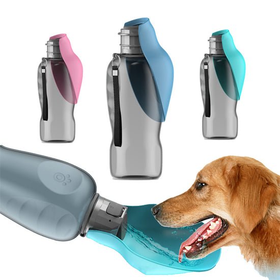 4Portable Dog Water Bottle, Dog Water Bottle, 800ml Dog Water Bottle, Large Capacity Pet Water Bottle, Leakproof Dog Water Bottle, Foldable Dog Water Bottle, Travel Dog Water Bottle, Outdoor Dog Water Bottle, Pet Drinking Bottle, Dog Drinking Bottle, Dog Water Bowl, Foldable Pet Bowl, Portable Pet Water Bowl, Dog Walking Supplies, Pet Travel Supplies, Dog Hydration Bottle, Pet Hydration Bottle, Golden Retriever Water Bottle, Dog Outdoor Supplies, Pet Drinking Bowl96b4c4388b33ce786845f7f759c90e5