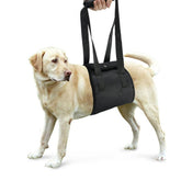Dog Leash, Dog Auxiliary Leash, Dog Walking Leash, Pet Leash, Dog Lead, Adjustable Dog Leash, Dog Training Leash, Dog Walking Belt, Pet Walking Belt, Dog Harness Belt, Dog Safety Leash, Dog Outdoor Leash, Puppy Leash, Puppy Walking Leash, Dog Training Lead, Pet Walking Leash, Dog Control Leash, Dog Walking Strap, Pet Safety Leash, Dog Walking Supplies