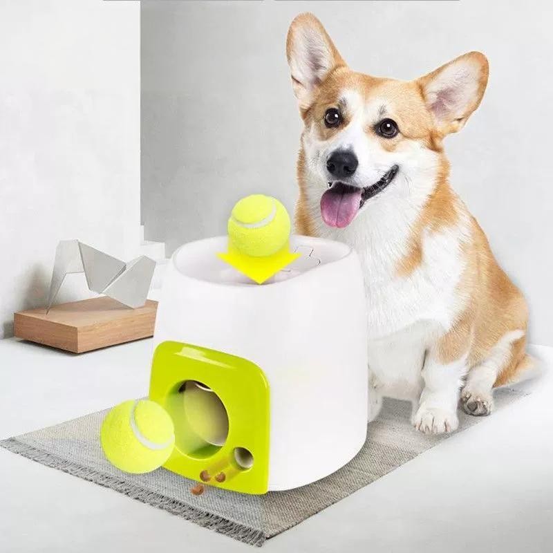 Automatic Pet Ball Launcher, Automatic Dog Ball Launcher, Dog Ball Launcher, Pet Ball Launcher, Interactive Dog Toy, Automatic Dog Toy, Dog Fetch Toy, Pet Fetch Toy, Dog Ball Thrower, Automatic Ball Thrower, Dog Fetch Launcher, Pet Fetch Launcher, Interactive Pet Toy, Dog Exercise Toy, Dog Training Toy, Dog Play Toy, Cat Ball Toy, Pet Ball Thrower, Dog Entertainment Toy, Automatic Fetch Toy