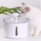 Pet Water Dispenser, Automatic Pet Water Dispenser, Cat Water Fountain, Dog Water Fountain, Pet Water Fountain, Automatic Pet Water Fountain, Pet Drinking Fountain, Cat Water Dispenser, Dog Water Dispenser, Pet Drinking Dispenser, Filtered Pet Water Fountain, Pet Water Filter, Automatic Cat Water Fountain, Automatic Dog Water Fountain, Pet Water Feeder, Cat Drinking Fountain, Dog Drinking Fountain, Circulating Pet Water Fountain, Smart Pet Water Dispenser, Pet Drinking Water Fountain
