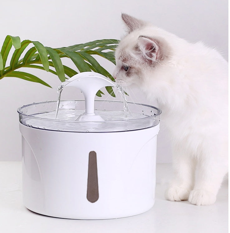 Pet Water Dispenser, Automatic Pet Water Dispenser, Cat Water Fountain, Dog Water Fountain, Pet Water Fountain, Automatic Pet Water Fountain, Pet Drinking Fountain, Cat Water Dispenser, Dog Water Dispenser, Pet Drinking Dispenser, Filtered Pet Water Fountain, Pet Water Filter, Automatic Cat Water Fountain, Automatic Dog Water Fountain, Pet Water Feeder, Cat Drinking Fountain, Dog Drinking Fountain, Circulating Pet Water Fountain, Smart Pet Water Dispenser, Pet Drinking Water Fountain