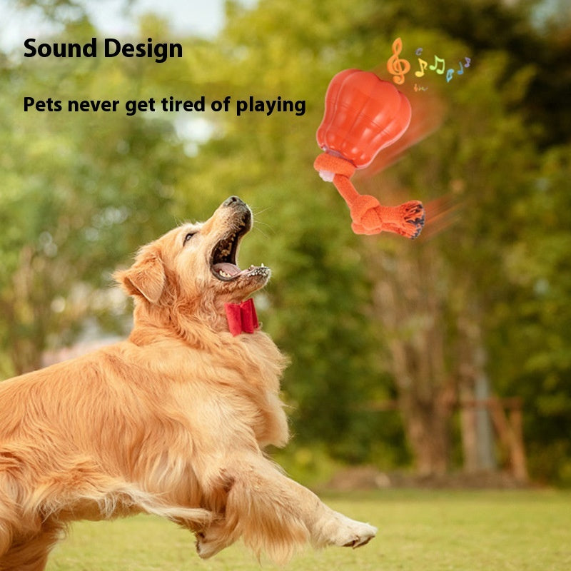 62437493Automatic Dog Ball, Dog Training Ball, Outdoor Dog Toy, Automatic Dog Toy, Interactive Dog Ball, Dog Sound Toy, Sound Dog Toy, Dog Training Toy, Interactive Dog Toy, Dog Play Ball, Dog Exercise Toy, Pet Training Toy, Automatic Pet Toy, Dog Activity Toy, Outdoor Dog Toy Ball, Dog Fetch Toy, Pet Play Toy, Dog Entertainment Toy, Smart Dog Toy, Interactive Pet Toyf8e3e1395f9354a8ce1a42f