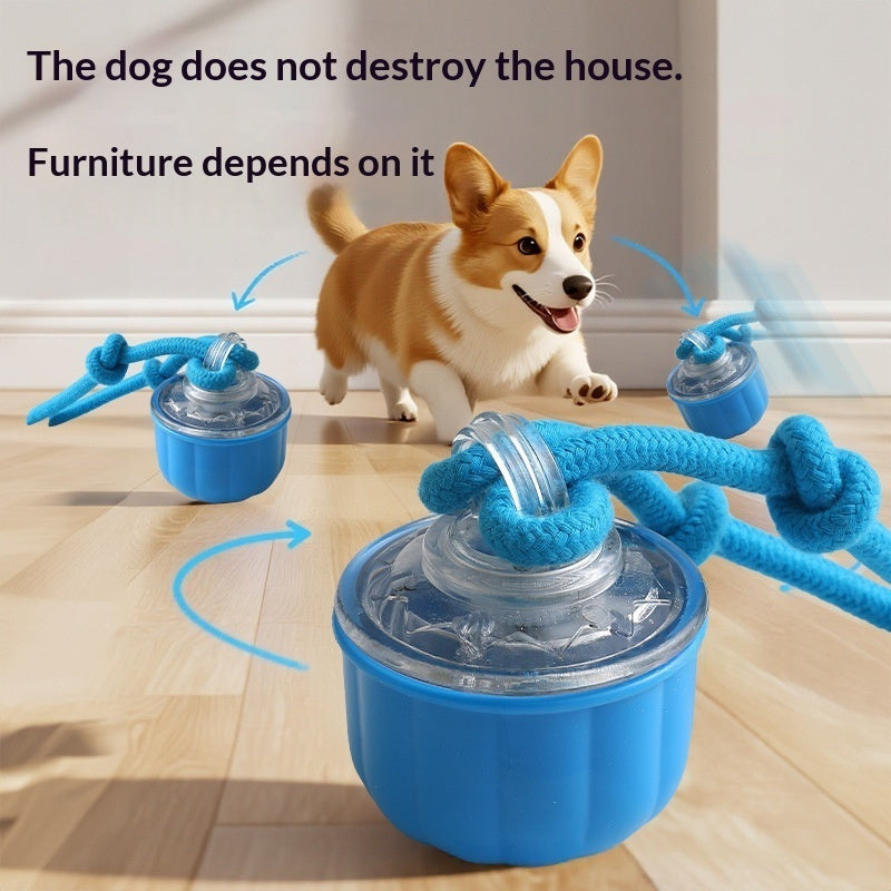 Automatic Dog Ball Toy, Indoor Dog Toy, Dog Puzzle Toy, Interactive Dog Toy, Automatic Dog Ball, Dog Ball Toy, Interactive Dog Ball, Dog Training Toy, Pet Puzzle Toy, Dog Entertainment Toy, Smart Dog Toy, Automatic Pet Toy, Indoor Pet Toy, Dog Activity Toy, Dog Exercise Toy, Dog Play Ball, Pet Interactive Toy, Dog Boredom Toy, Dog Enrichment Toy, Automatic Dog Play Toy